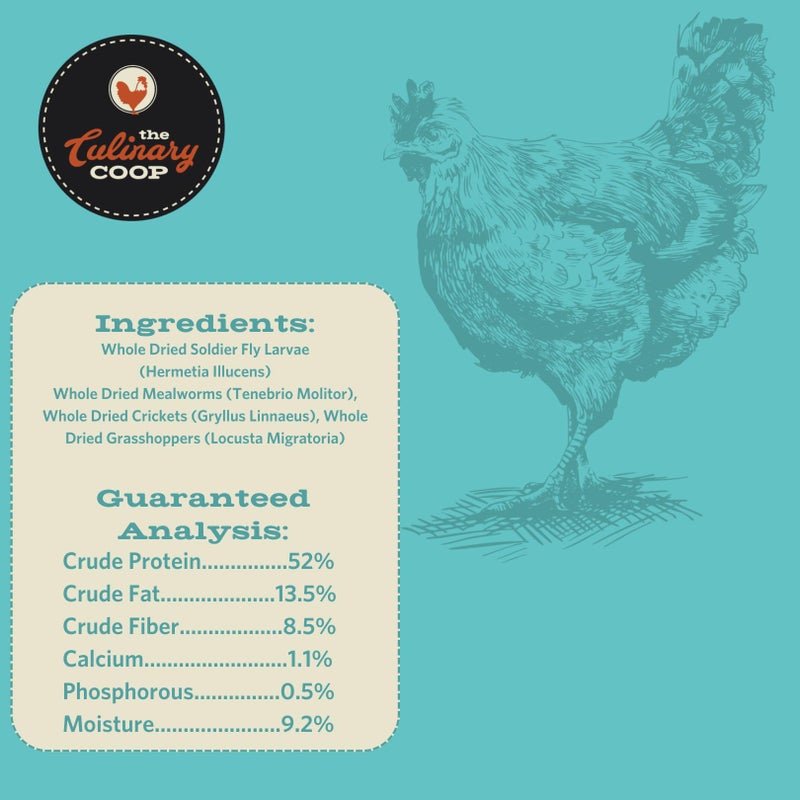 Fluker's Culinary Coop Premium Chicken Treats, Dried Insect Trail Mix, 20 oz - Image 2